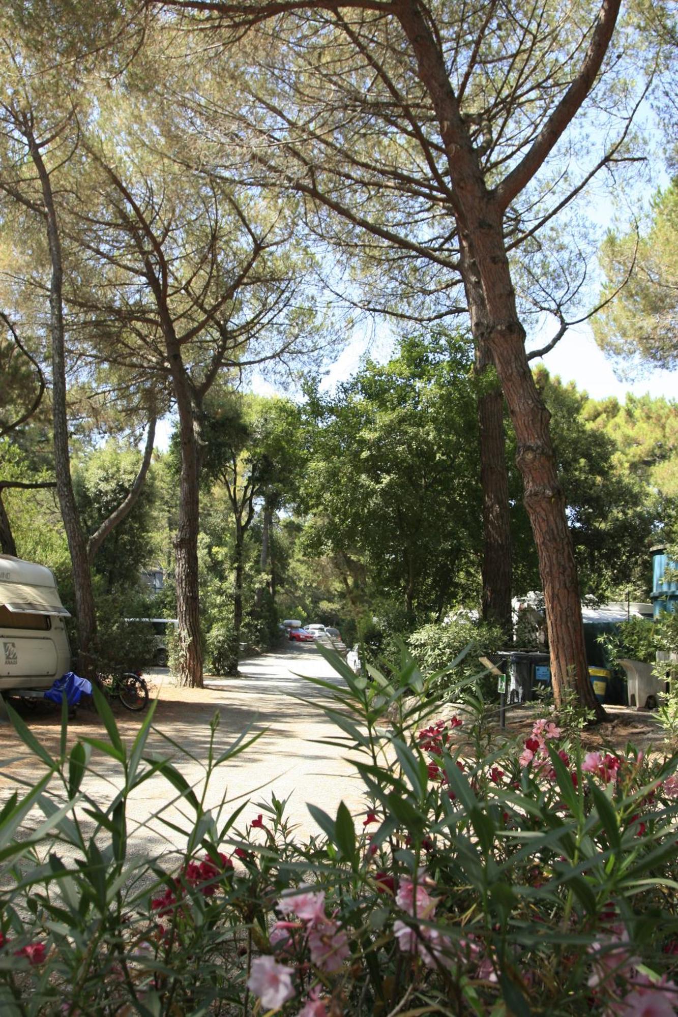 Camping Casa Di Caccia مارينا دي بيبونا المظهر الخارجي الصورة