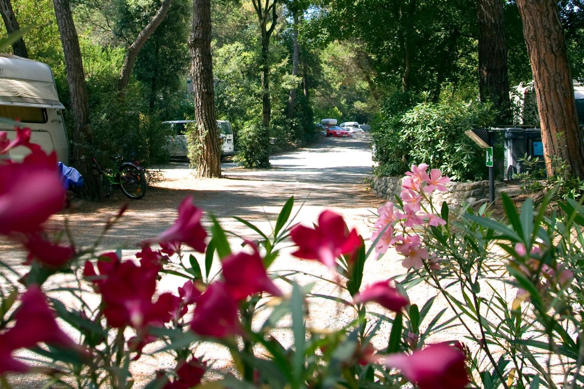 Camping Casa Di Caccia مارينا دي بيبونا المظهر الخارجي الصورة