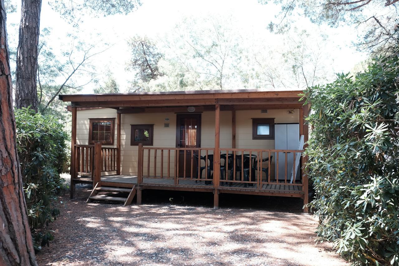 Camping Casa Di Caccia مارينا دي بيبونا المظهر الخارجي الصورة
