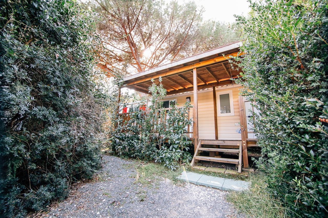 Camping Casa Di Caccia مارينا دي بيبونا المظهر الخارجي الصورة